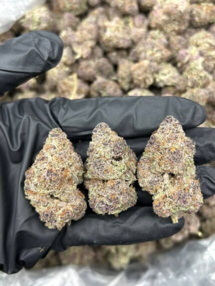 Trop Cherry Sativa strain