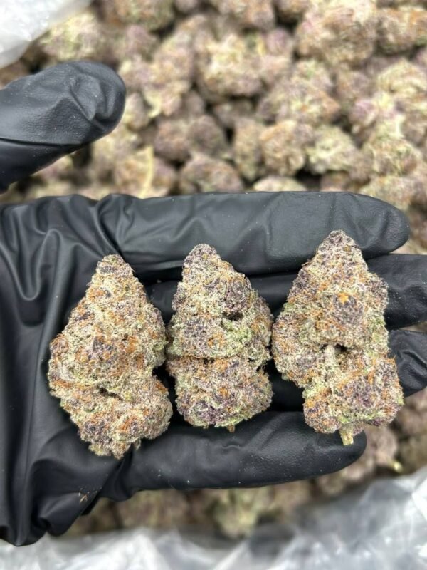 Trop Cherry Sativa strain