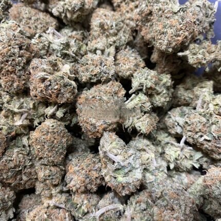 Close-up of Pinkman Goo cannabis buds with purple hues, orange hairs, and glistening trichomes