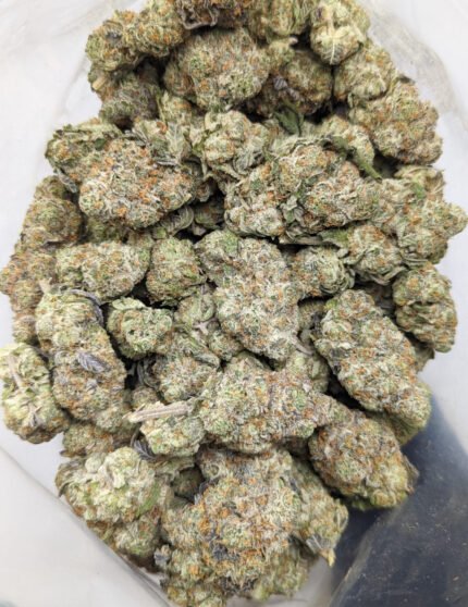 Close-up of Zkittlez cannabis strain buds with vibrant colors and frosty trichomes
