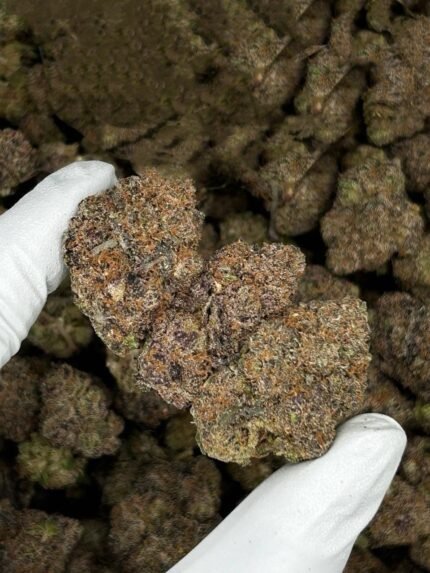 Sirius Black cannabis strain