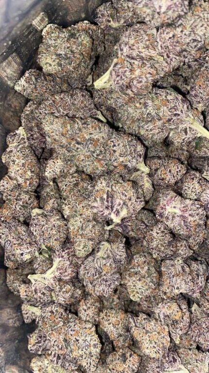 Close-up of White Cherry Runt cannabis buds with white trichomes and purple hues