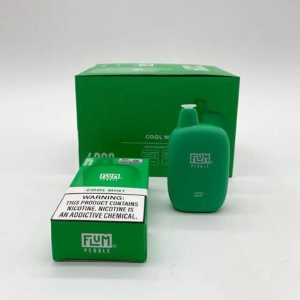 FLUM Pebble Nicotine Vapes 6000 Puffs